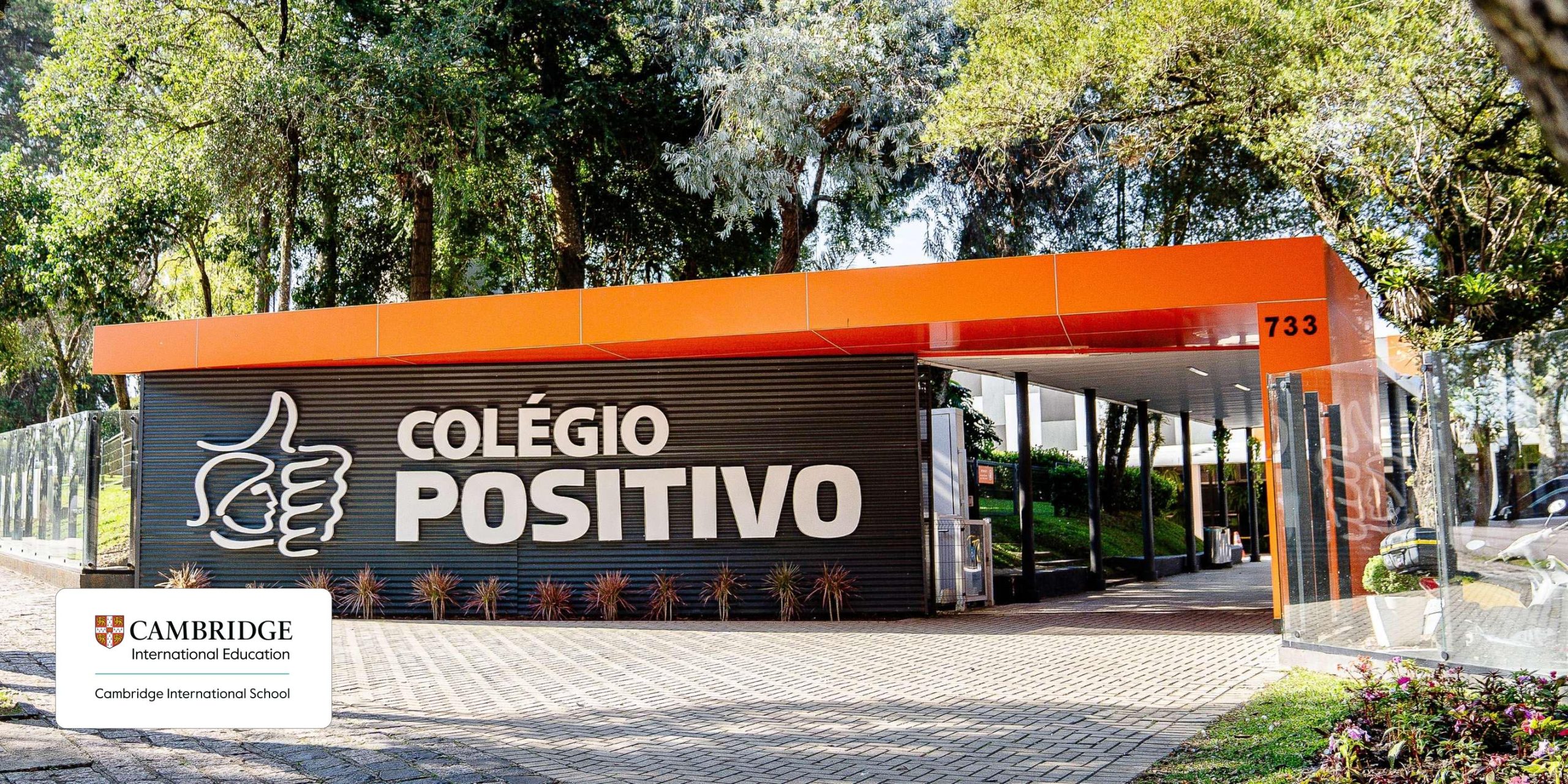 Colégio Positivo – Júnior