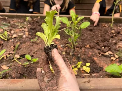 WhatsApp Image 2025-11-05 at 10.49.12 (1)