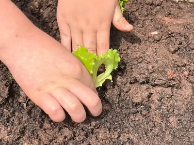 WhatsApp Image 2025-11-05 at 10.49.12 (4)