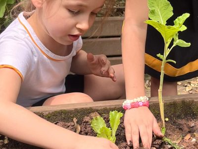 WhatsApp Image 2025-11-05 at 10.49.12